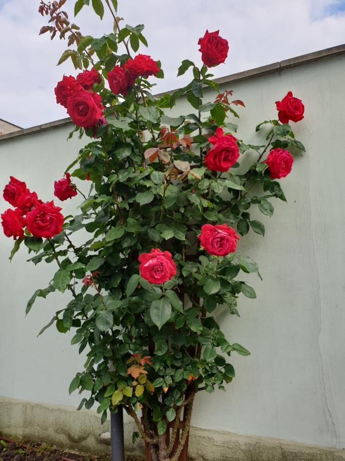 Mirana Family Hotel Burgas Exterior photo